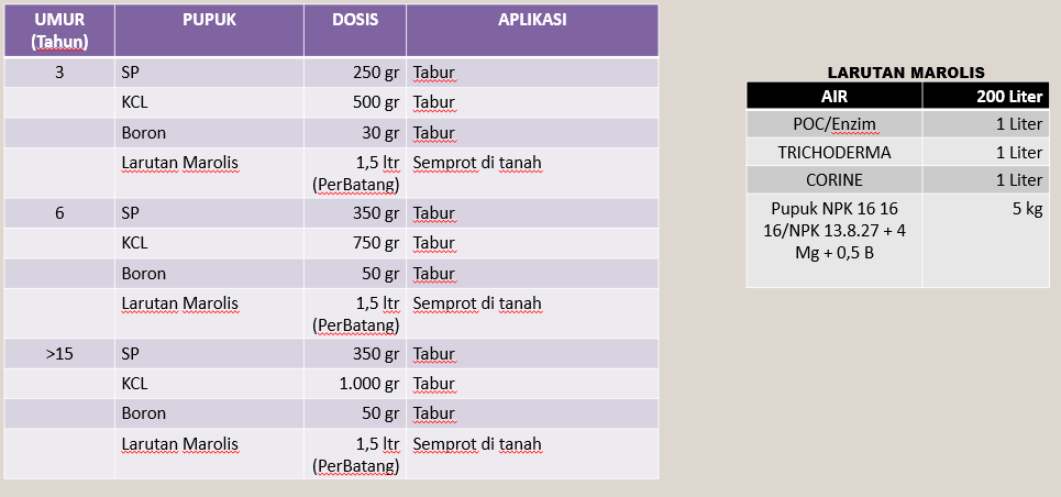 Tabel Dosis Pupuk Sawit